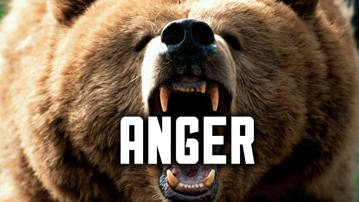 ANGER !!!!!!!!!!!!! – The Ever Present Danger